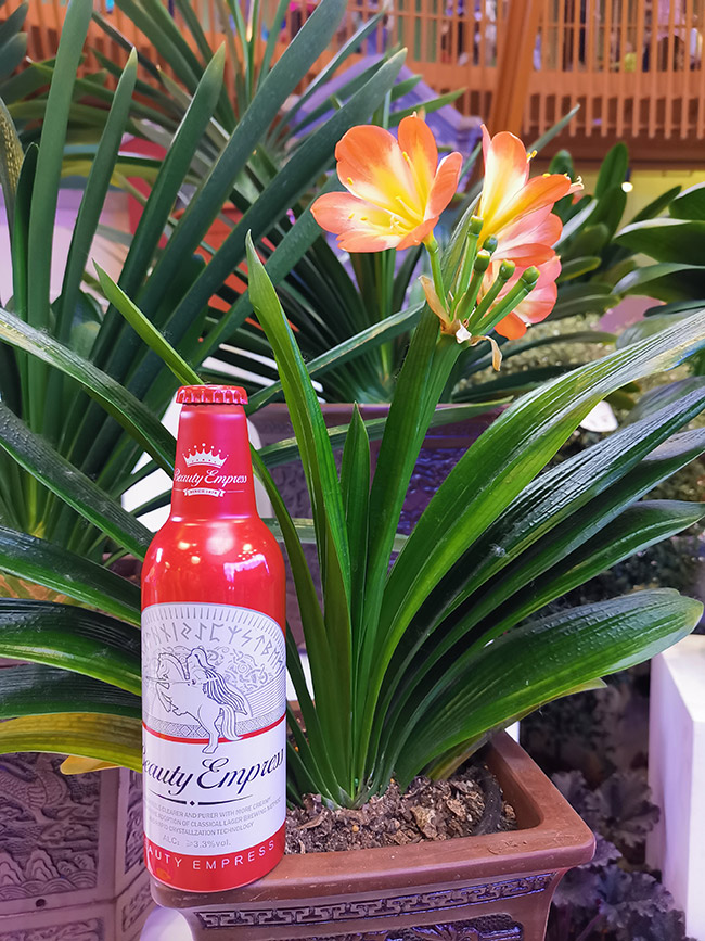 英博至 尊紅顏啤酒【9°355ml】