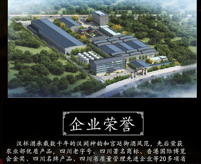 漢杯酒10 50°500ml清香型白酒