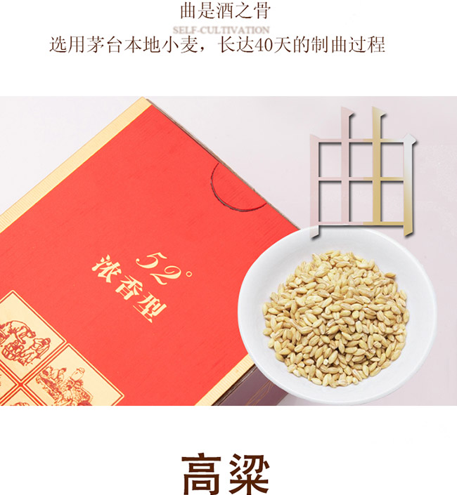 大唐天子酒獨領(lǐng)風騷52°500ml濃香型白酒
