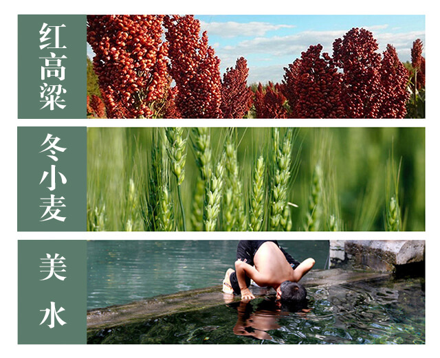 大民族禮運(yùn)