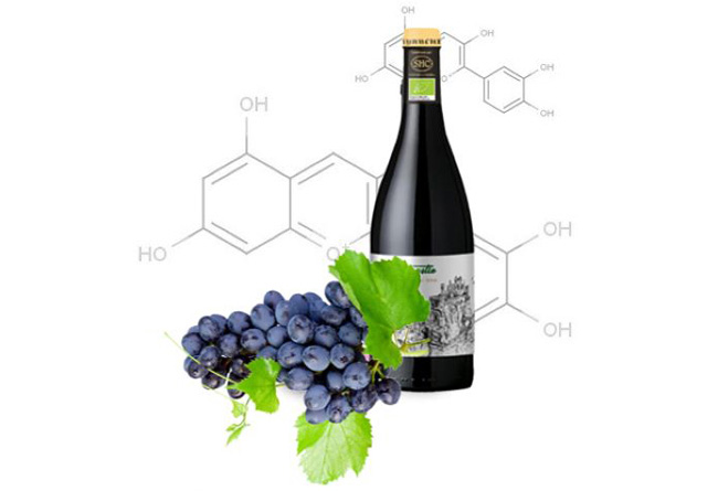 凱巖城有機(jī)干紅葡萄酒