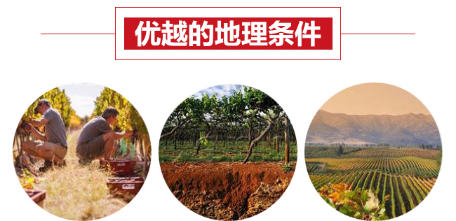 凱巖城15度干紅葡萄酒