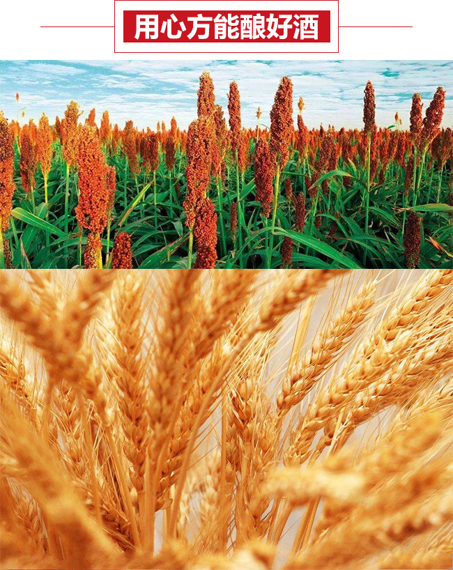 永豐二鍋頭伯爵酒