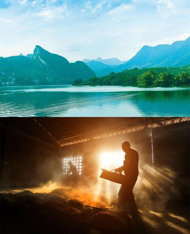 永豐二鍋頭伯爵酒