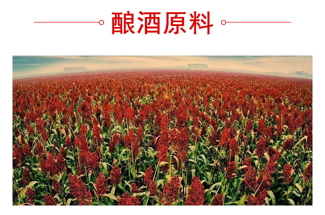 魏井窖酒G3濃香型500mL42度~50度