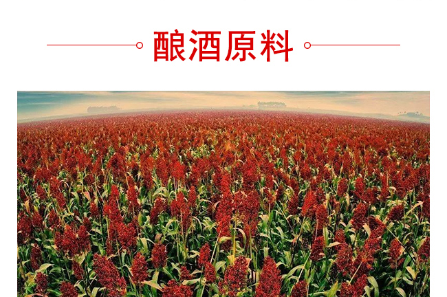 魏井窖酒G6濃香型500mL42度~50度