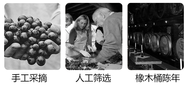 法國瑪格魯特城堡干紅葡萄酒750ml