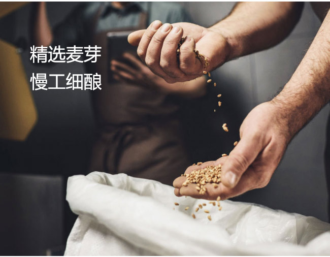 曼德堡黑啤酒500ml