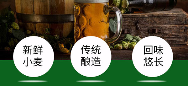 雁蕩山金尊啤酒330mlx6罐