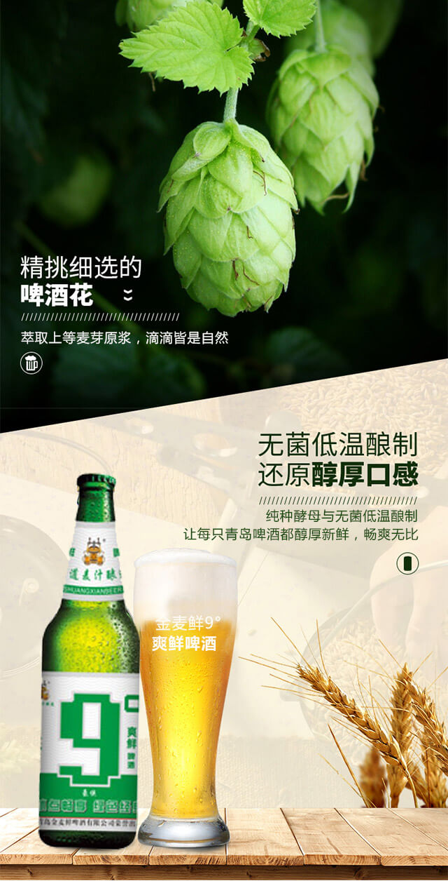 金麥鮮9°爽鮮啤酒