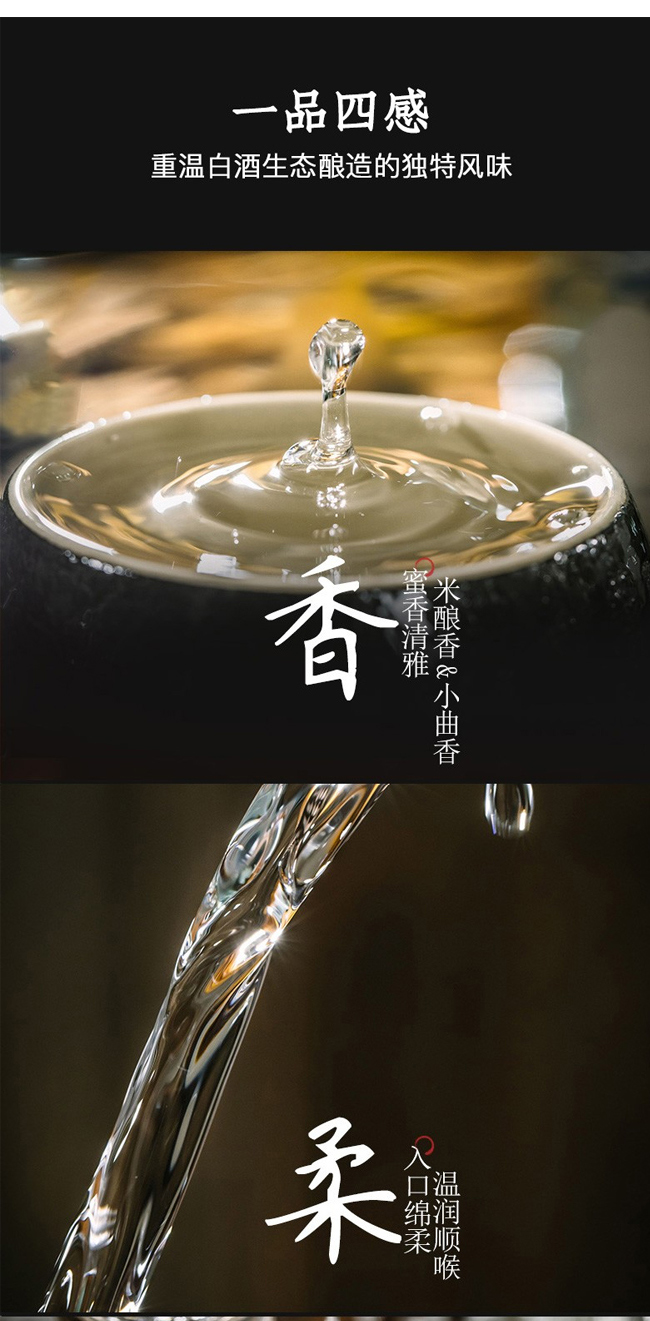 燕趙風(fēng)老白干酒10