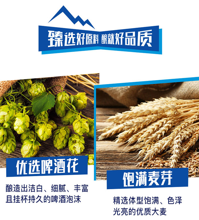 哈爾濱冰熊王啤酒半托500ml