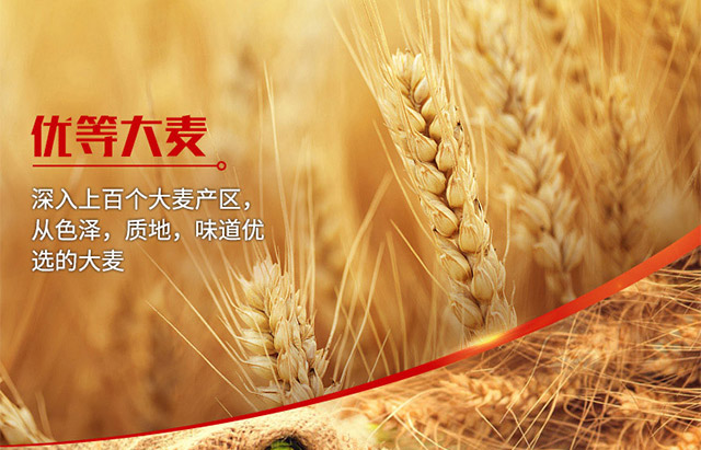 嶗世家純生啤酒瓶裝