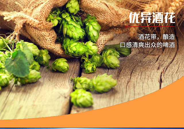 嶗世家純生啤酒瓶裝