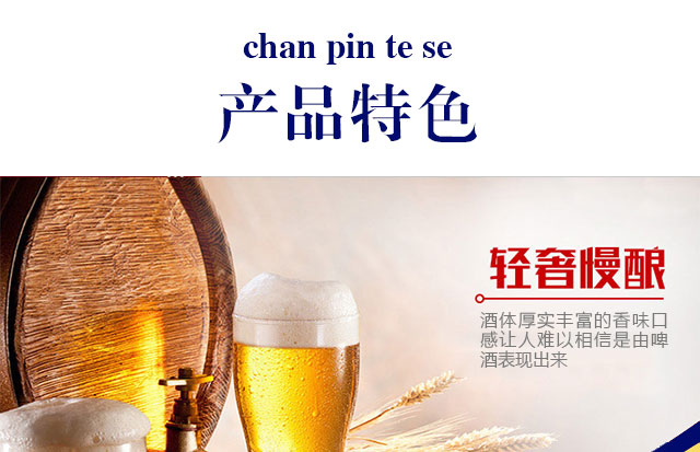 哥樂(lè)娜精釀啤酒500ml×12罐