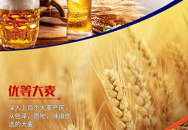 哥樂(lè)娜精釀啤酒500ml×12罐