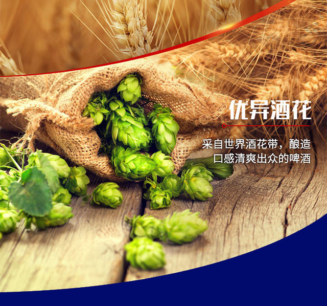 哥樂(lè)娜精釀啤酒500ml×12罐