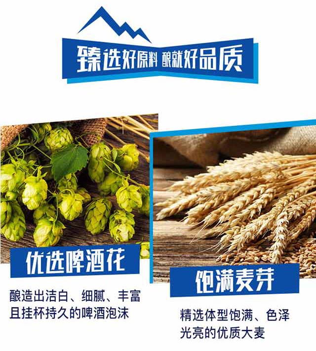 動力先鋒電音版誘惑型蘇打酒