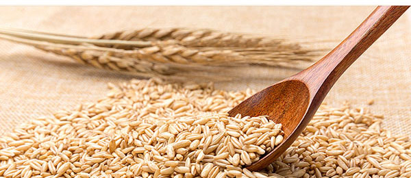 大喜事酒-42度500ml