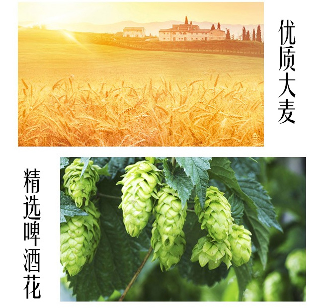 超級(jí)戰(zhàn)車(chē)精釀雙料拉格啤酒