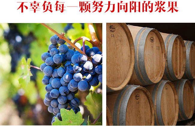 公雞大師赤霞珠干紅葡萄酒