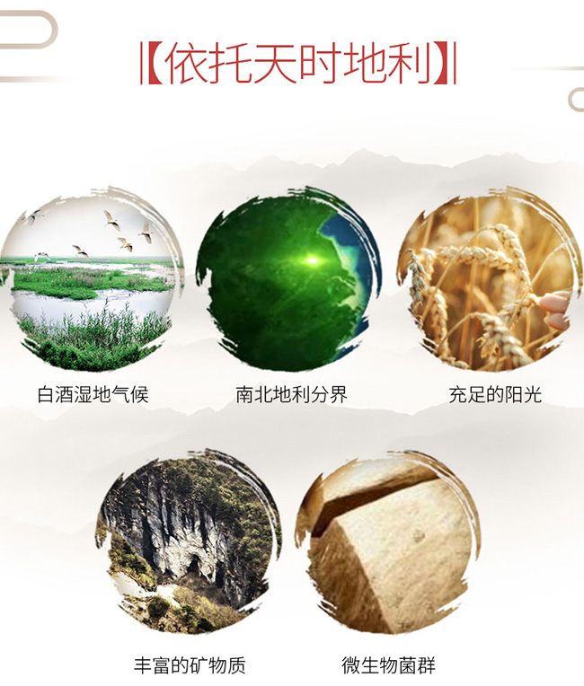 洋河年份酒龍尊10