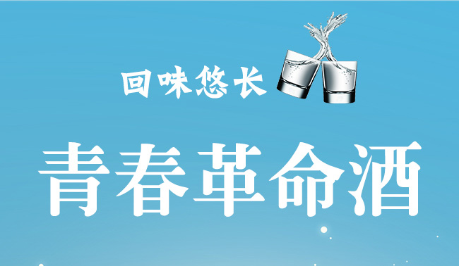 青春革命酒42度500ml濃香型白酒