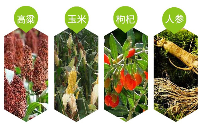 國夢家酒年伶人參枸杞茶缸酒200mlX12