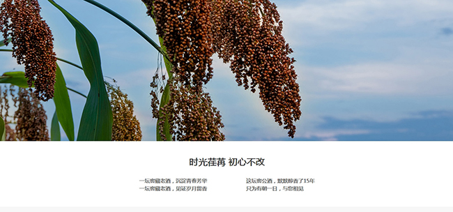 ѹƽѲ15uͰ׾ơ53500ml