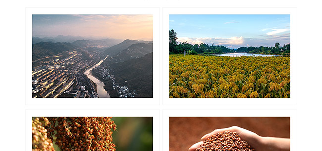 ѹƽѲ8uͰ׾ơ53500ml