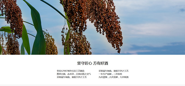 ѹƽѲ8uͰ׾ơ53500ml