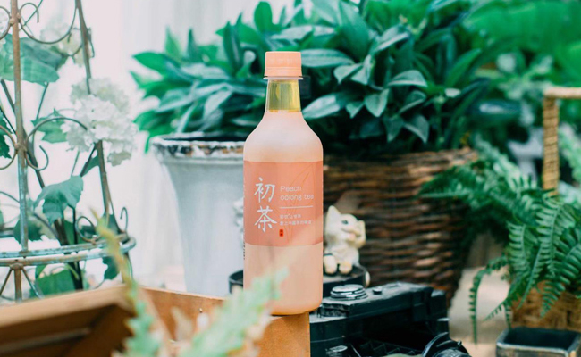 初飲初茶蜜桃烏龍茶【500ml】