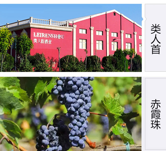 類人首果香型赤霞珠干紅葡萄酒13°750ml