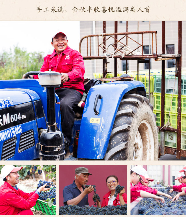 @ʯ÷¹mɼtѾ13.3750ml