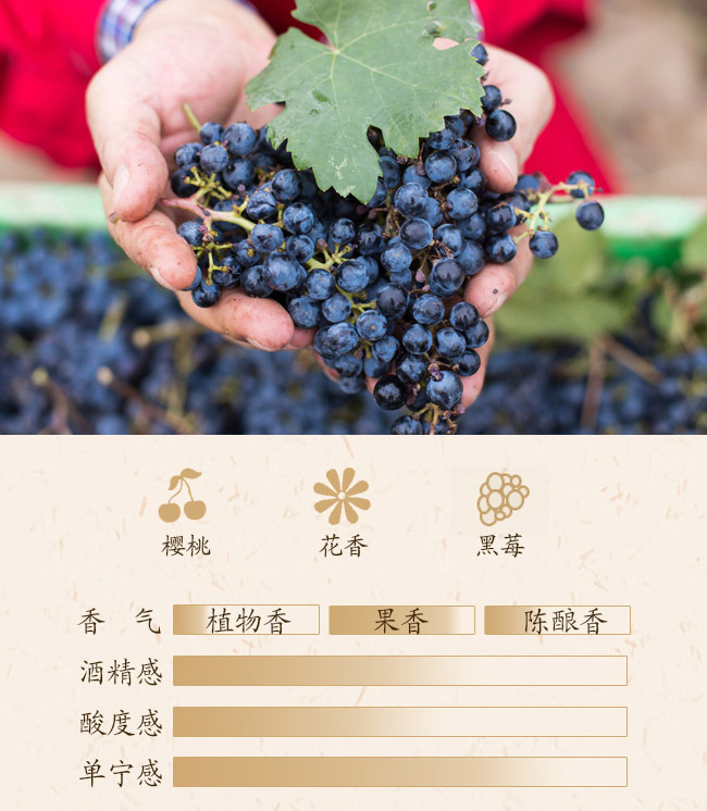 @ʯ÷¹mɼtѾ13.3750ml