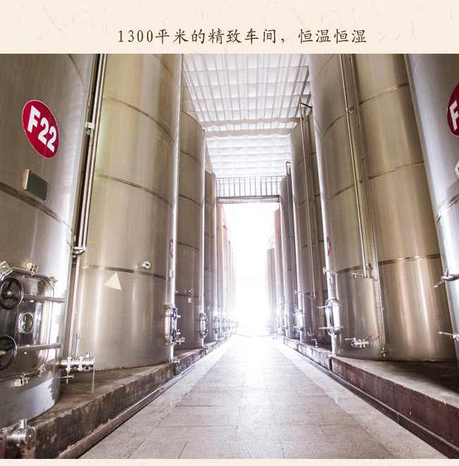 類人首2009經(jīng)典干紅葡萄酒12°750ml