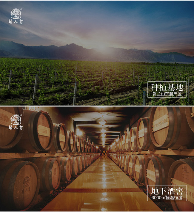 類人首2009經(jīng)典干紅葡萄酒12°750ml