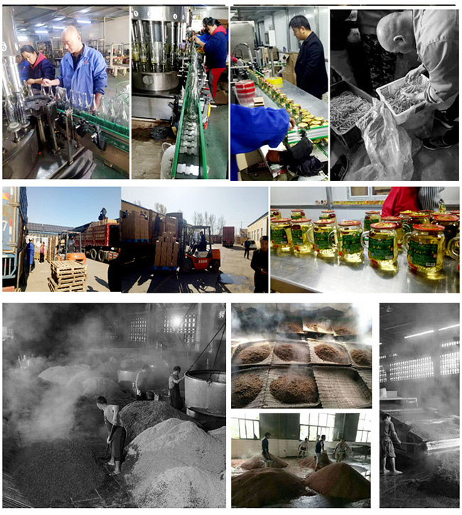 白山貢長白山人參酒紅標(biāo)42°52°500ml