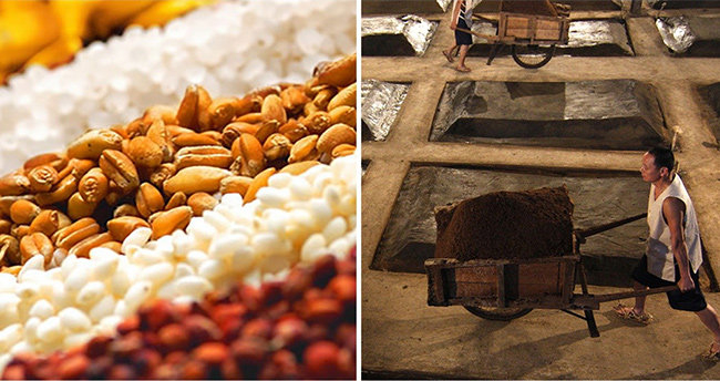 輝煌騰達酒·上品