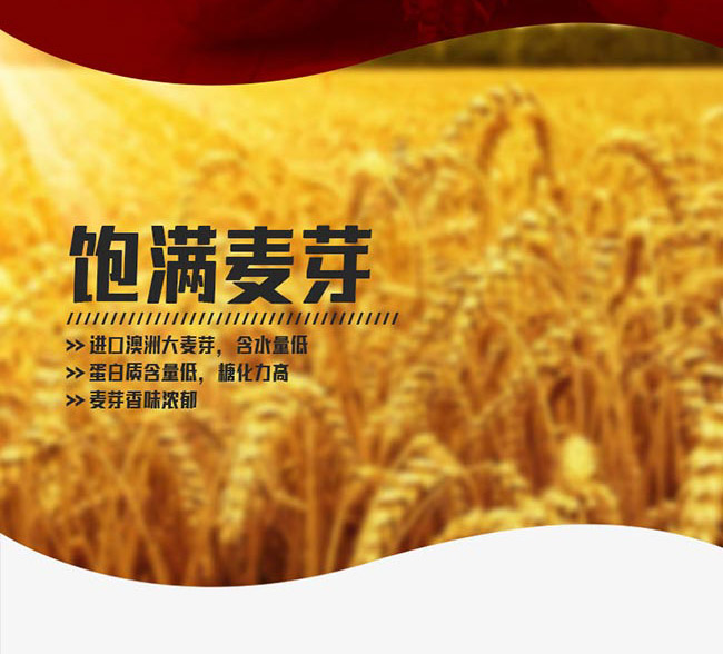 青贊啤酒百年經(jīng)典【11度 1L】