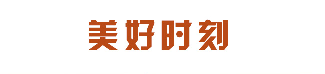 冰純啤酒【310ml】