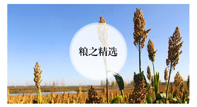 老泥窖酒·珍品老泥窖