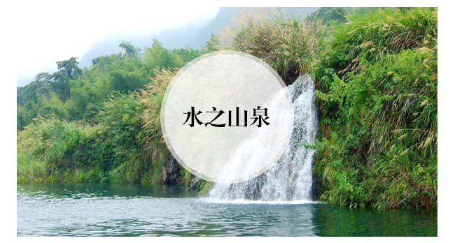 魏亳坊生態(tài)原漿酒鴻運(yùn)濃香型白酒【42°52°500ml】