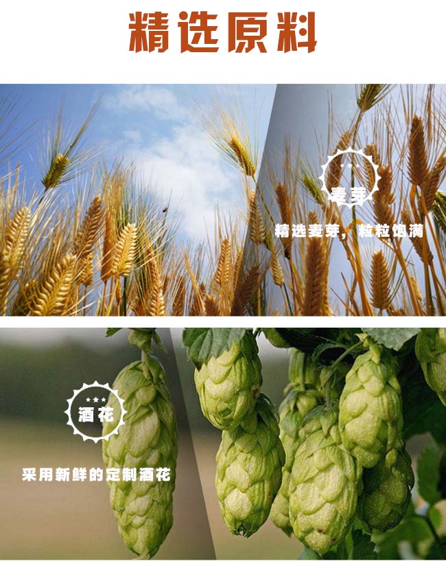 鮮麥王啤酒塑包【8°500ml×9】