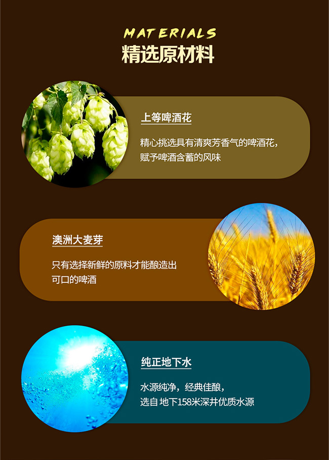 青島海博爾啤酒