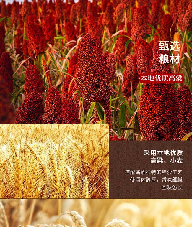 封壇醬酒醬香型白酒【53°500ml】