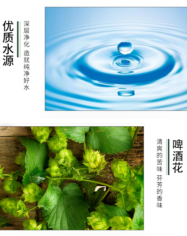 蕎公子苦蕎原漿啤酒 268ml