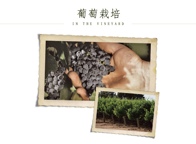 澳大利亞幽夢(mèng)谷珍藏西拉干紅葡萄酒