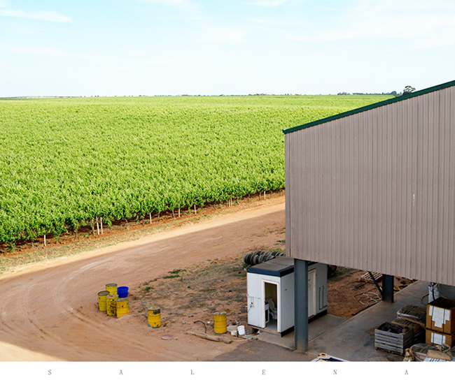 澳大利亞幽夢(mèng)谷珍藏西拉干紅葡萄酒