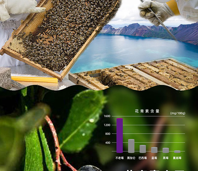 蜂收長白山蜂蜜不老莓酒【12° 200ml】